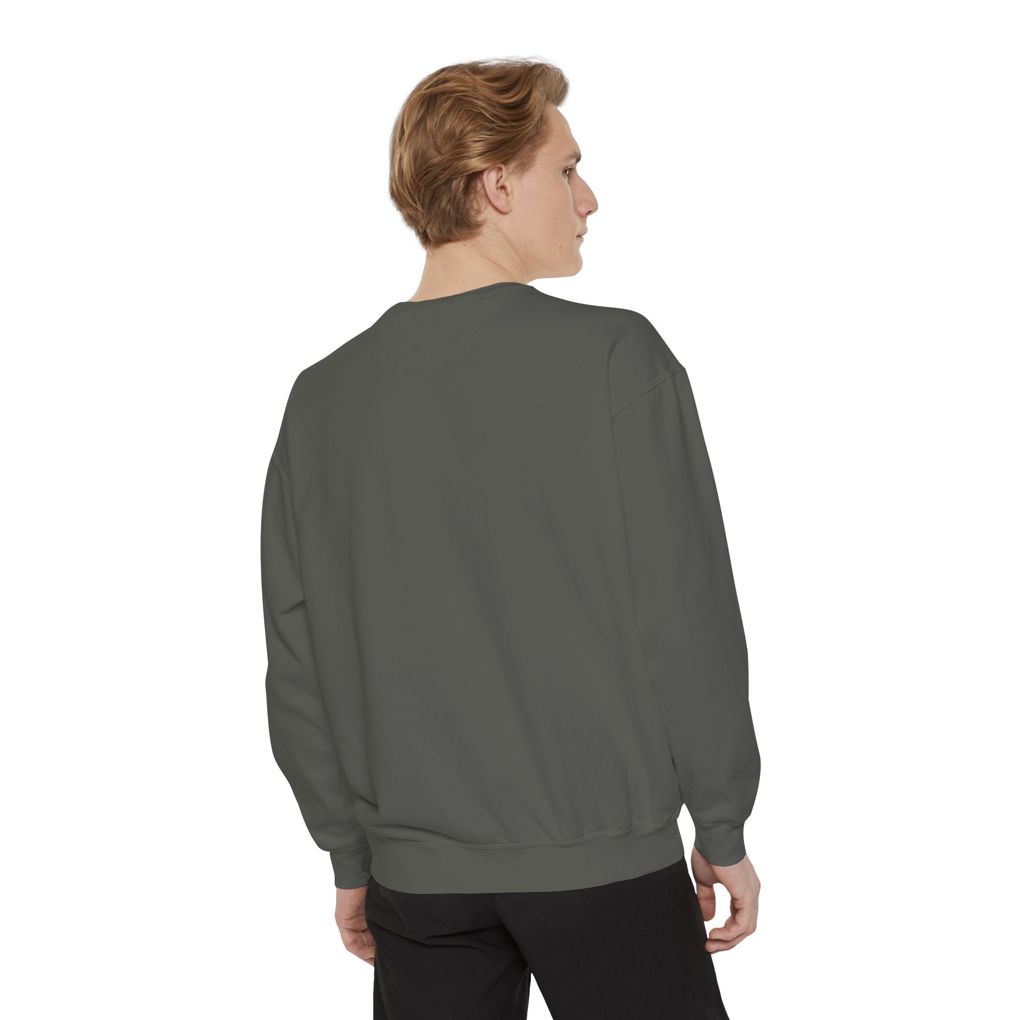 Disney Trash Can Comfort Colors Sweatshirt