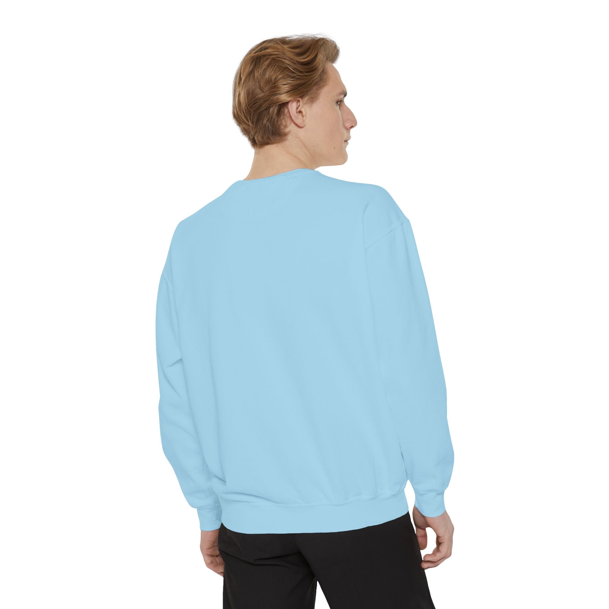 Take Me Back Comfort Colors Sweatshirt