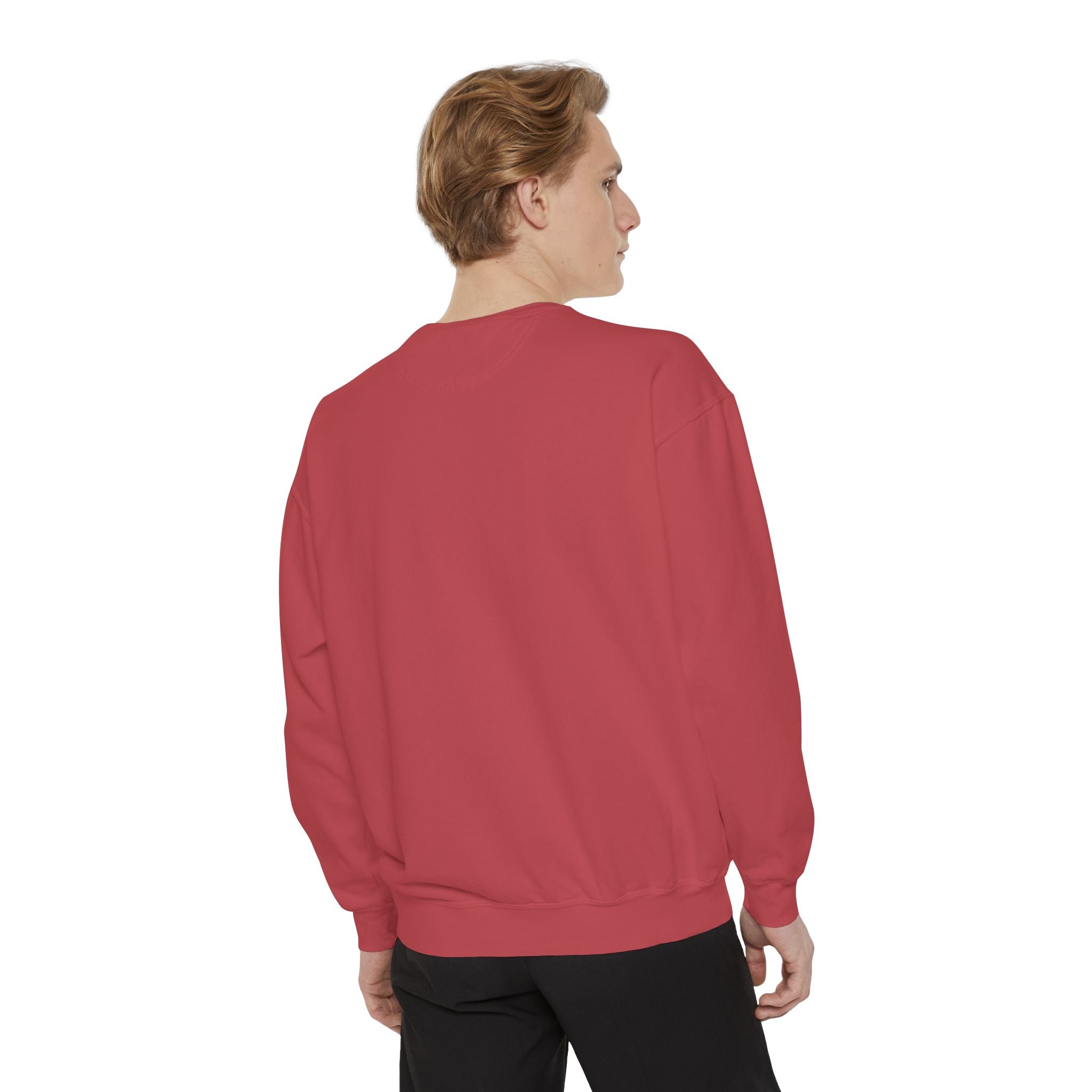 Disney Trash Can Comfort Colors Sweatshirt