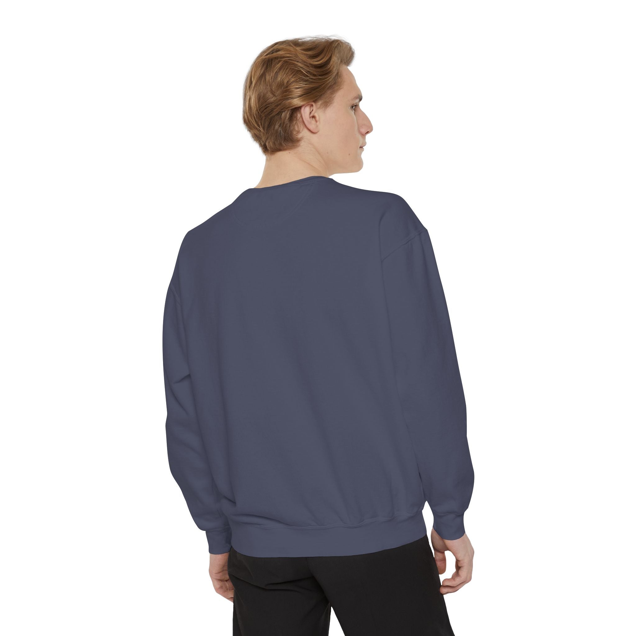 Disney Trash Can Comfort Colors Sweatshirt
