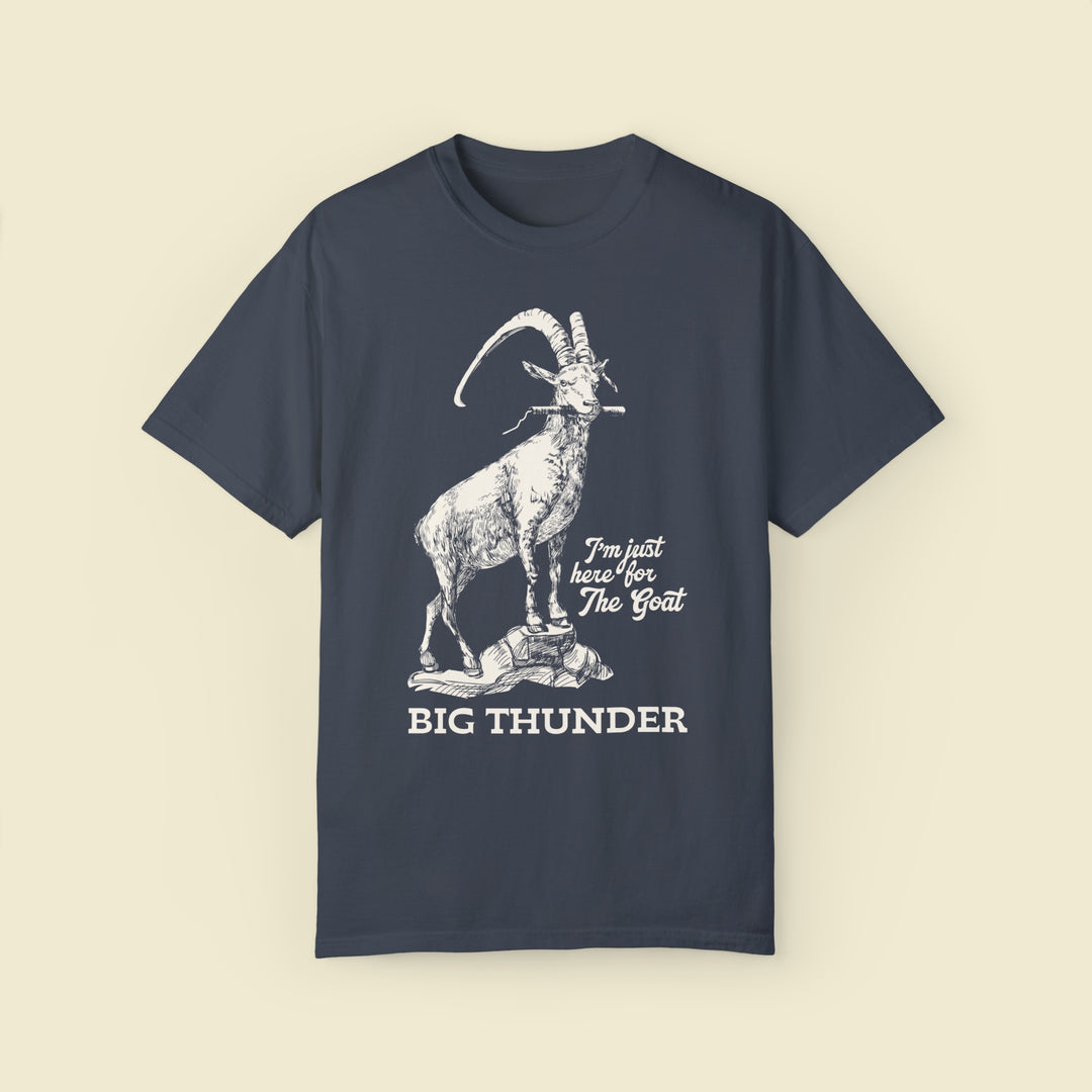 Subtle Theme Park Tees