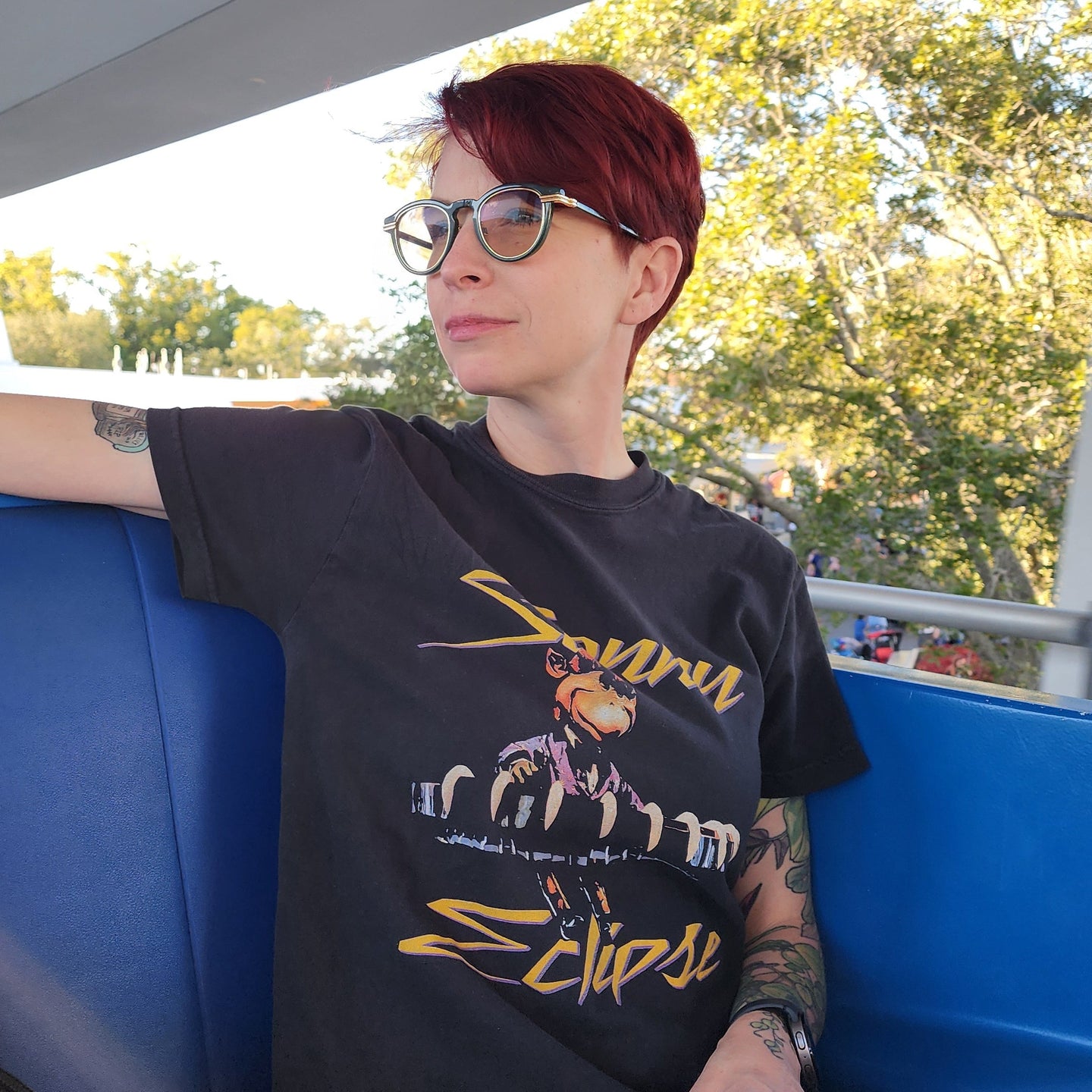 Sonny Eclipse Comfort Colors Tee | Subtle Theme Park Tees – The Quirky ...