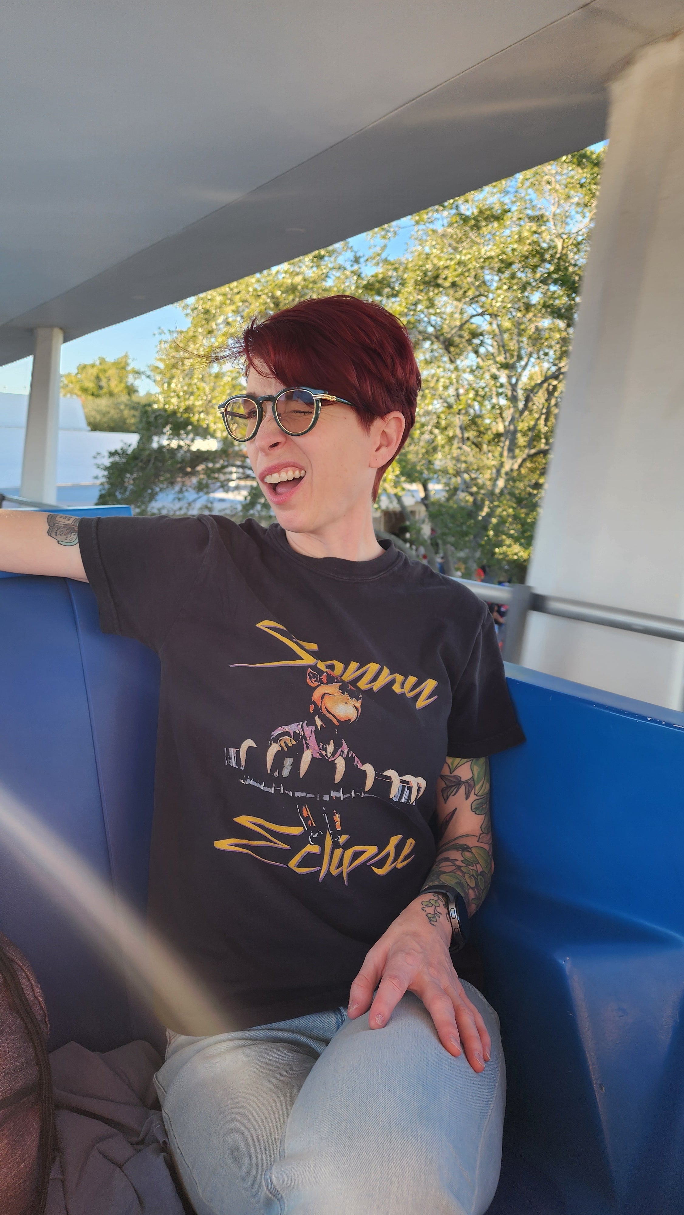 Sonny Eclipse Comfort Colors Tee | Subtle Theme Park Tees – The Quirky ...