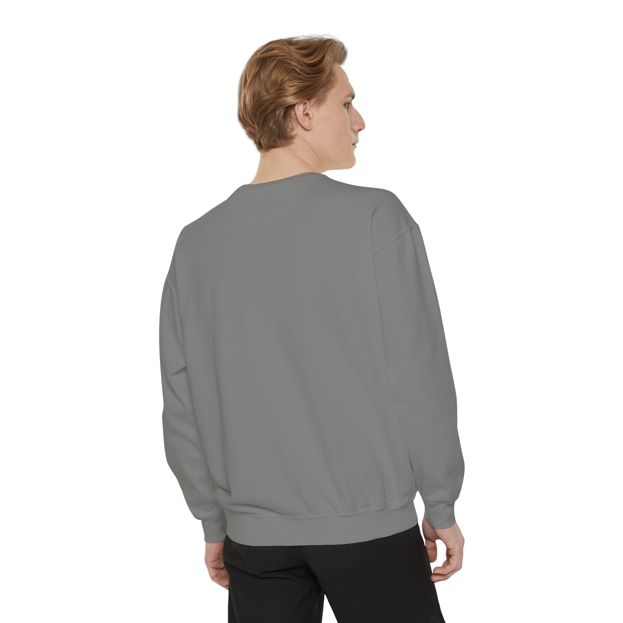 Carousel of Progress Comfort Colors Sweatshirt